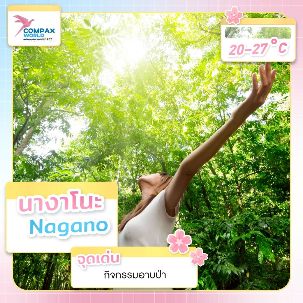 เที่ยวญี่ปุ่น ทัวร์ญี่ปุ่น เที่ยวญี่ปุ่นหน้าร้อน